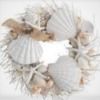 seashell234